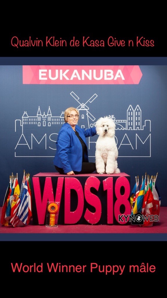 Kasa Give 'n' Kiss - World Winner Puppy male 2018 